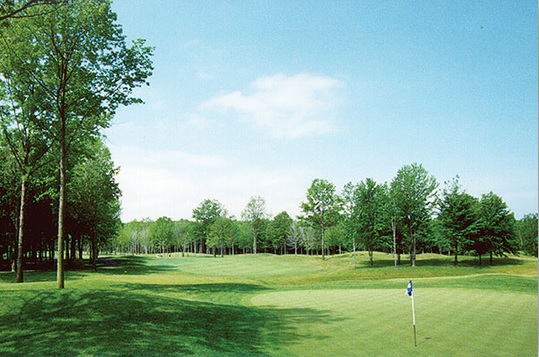 view of golf course green